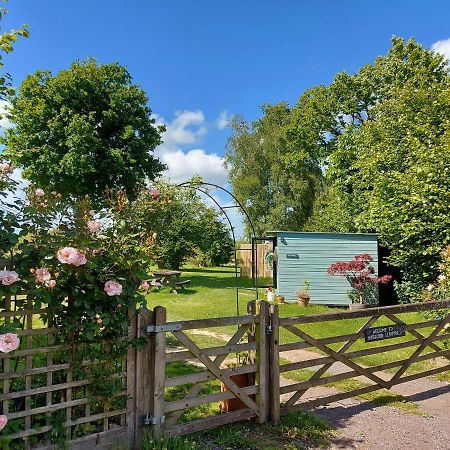 Hopgarden Glamping Luxury Shepherds Huts Wadhurst Exteriér fotografie