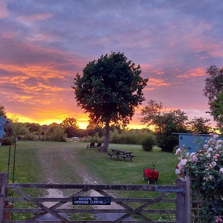 Hopgarden Glamping Luxury Shepherds Huts Wadhurst Exteriér fotografie