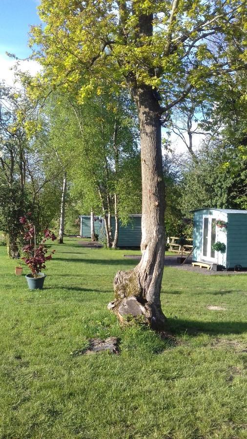Hopgarden Glamping Luxury Shepherds Huts Wadhurst Exteriér fotografie