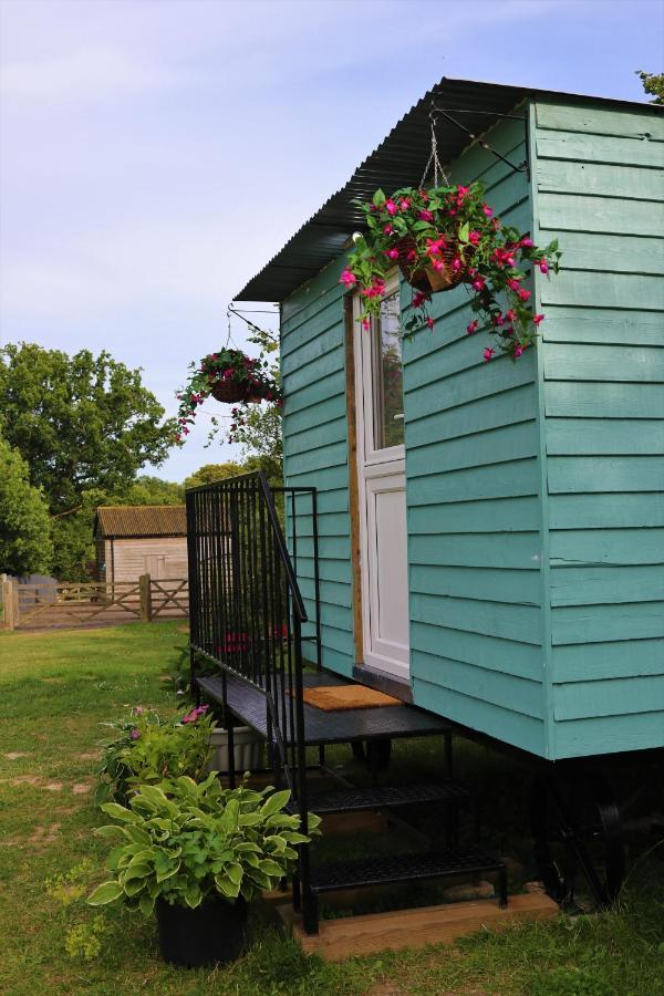 Hopgarden Glamping Luxury Shepherds Huts Wadhurst Exteriér fotografie